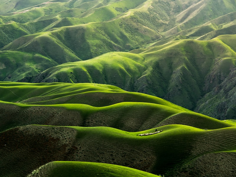 Cultivating Loving-Kindness in Daily Life